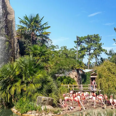 Charmant Appartement Апартаменты