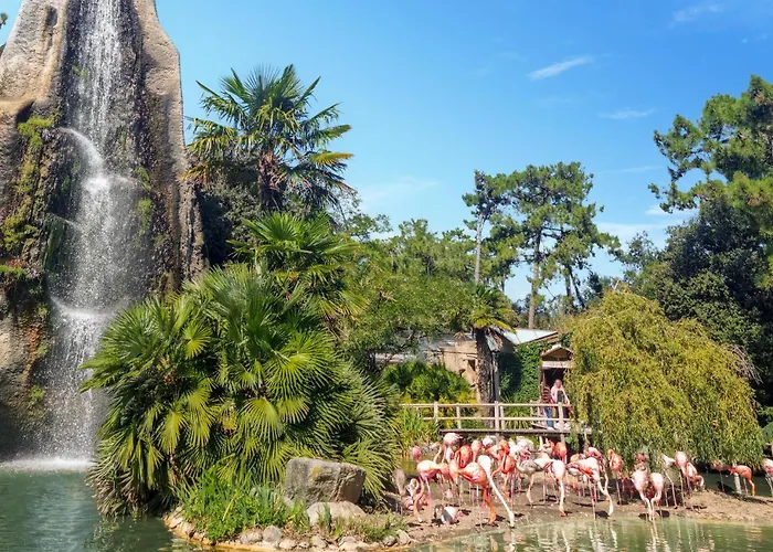 Charmant Appartement Apartmán